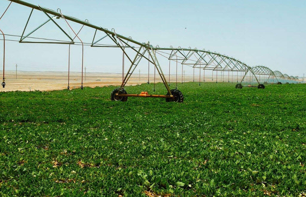 شركة كيماويات ألمانية تسعى لزيادة حصتها من مبيعات المبيدات الزراعية بمصر